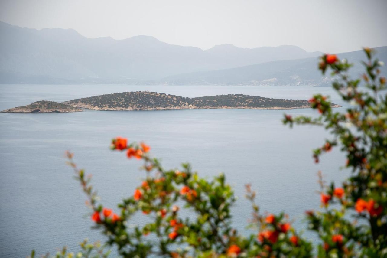 Miracle View Villas Ágios Nikólaos 외부 사진